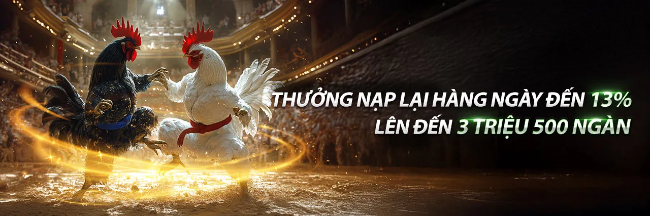 Đá gà trực tuyến kịch tính tại km3888b login